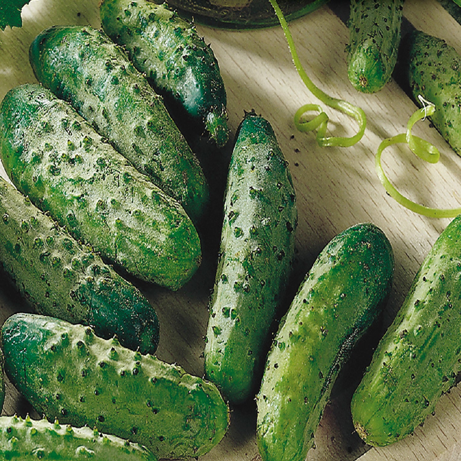 Cucumber Seeds, National Pickling