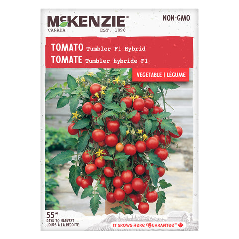 Tomato Seeds, Beefsteak Bush