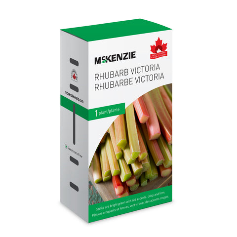 Rhubarb 'MacDonald' – Pinetree Garden Seeds