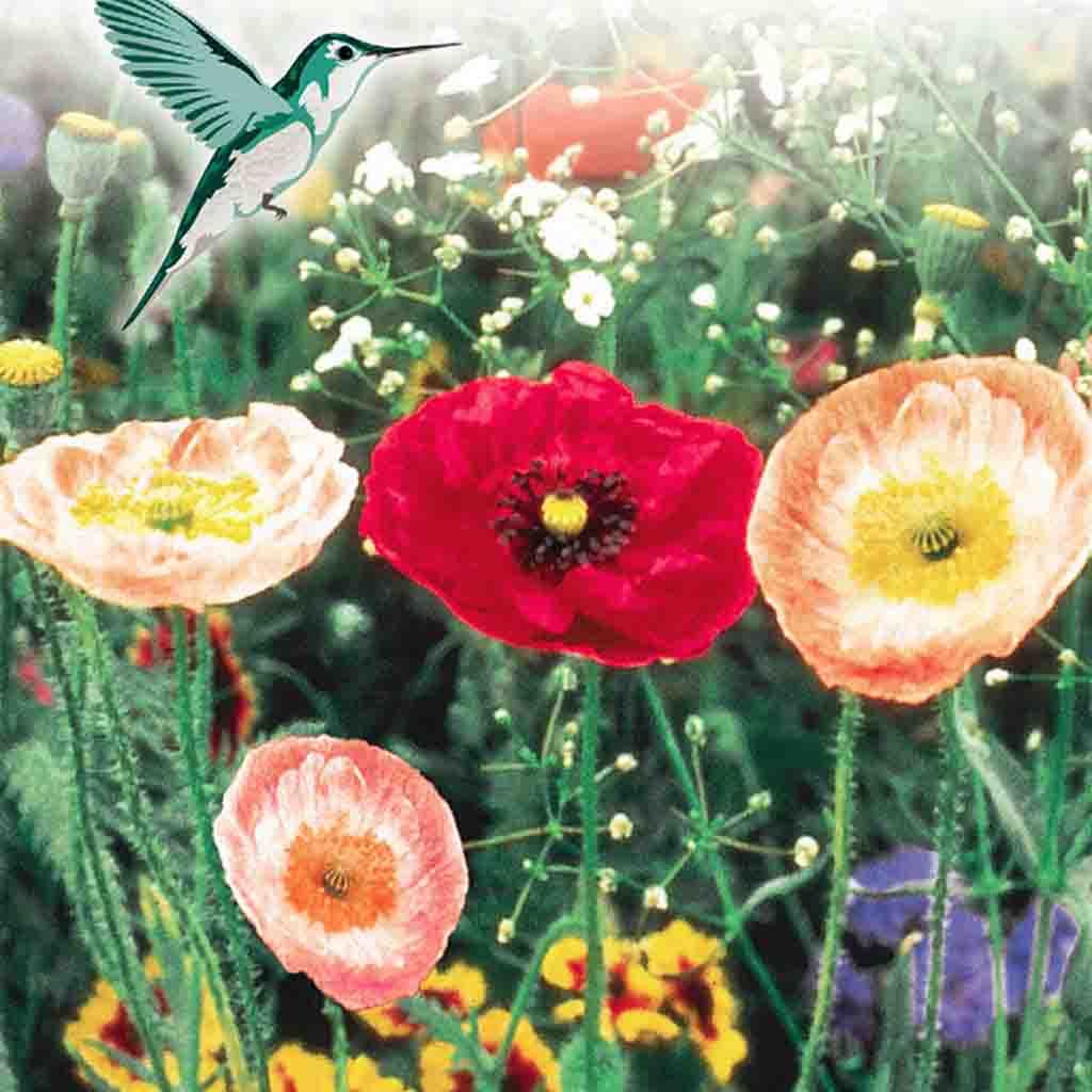 Old Fashioned Flower Garden Mix Seeds Value Size Pack