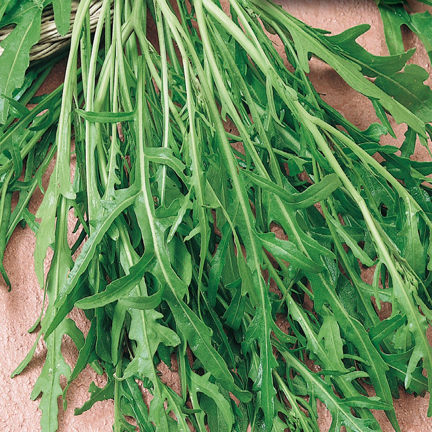 Ingredient: Arugula (roquette) @recipeland