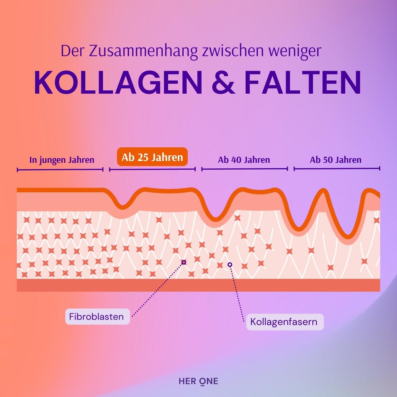 HER ONE Grafik: Der Zusammenhang zwischen weniger Kollagen & Falten