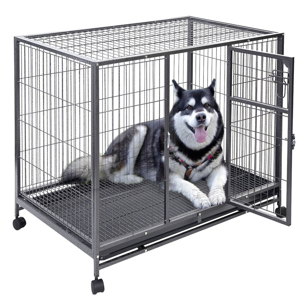 dog crate cage