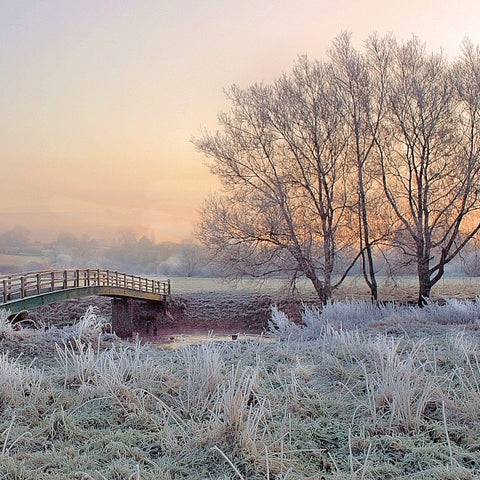 How to stay uplifted during the dark winter months by Corinne Taylor 