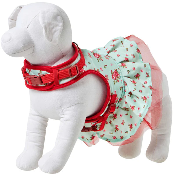 Blueberry Pet - Dog Harness Dress Floral Turquoise