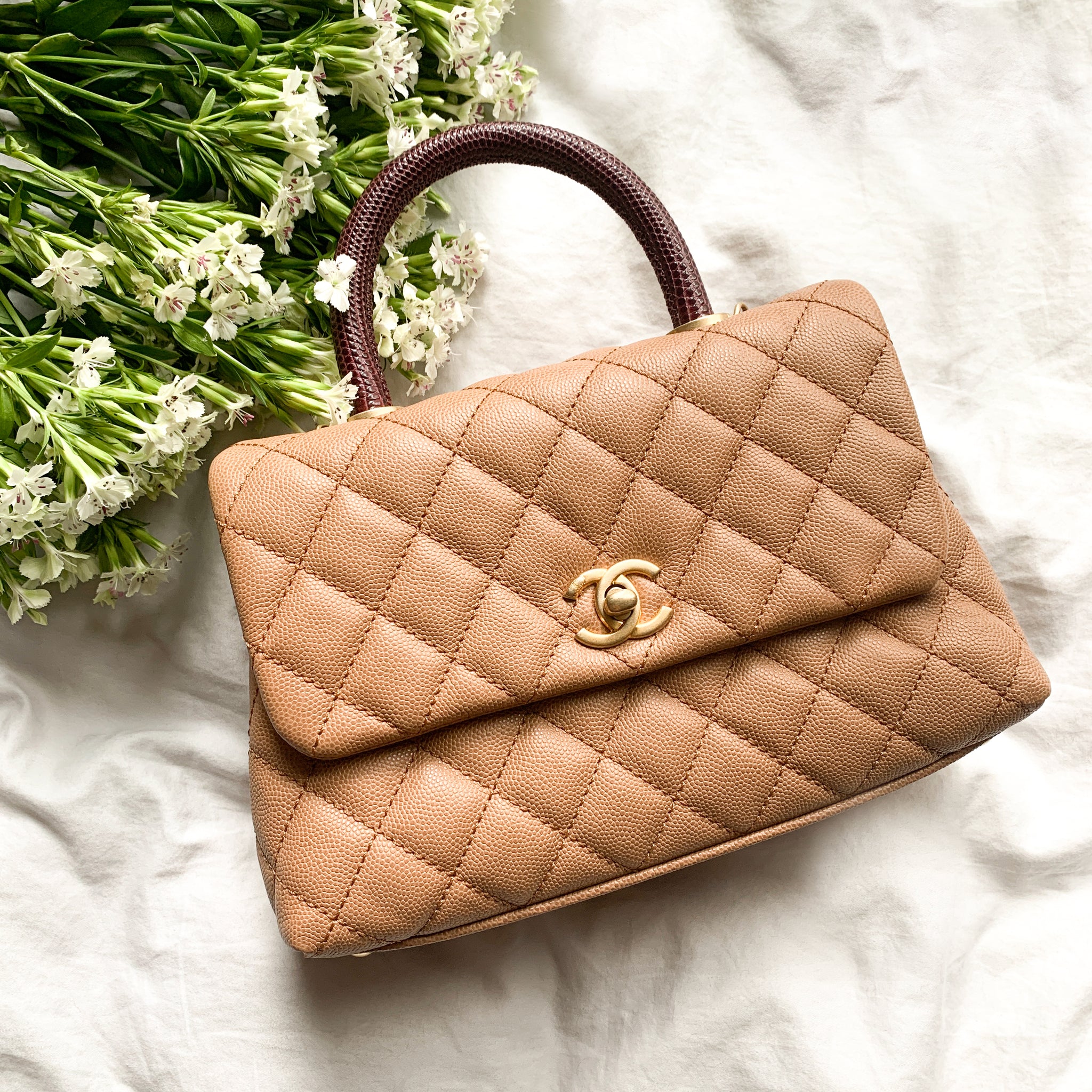 CHANEL Mini Coco Handle Bag with Lizard Handle in Caramel Caviar – Dearluxe