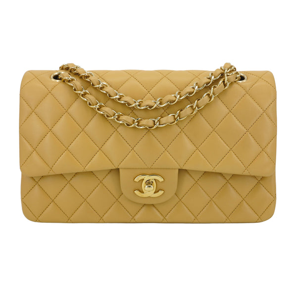 Chanel Vintage Limited Clear PVC Gold Trim Classic Flap Bag GHW