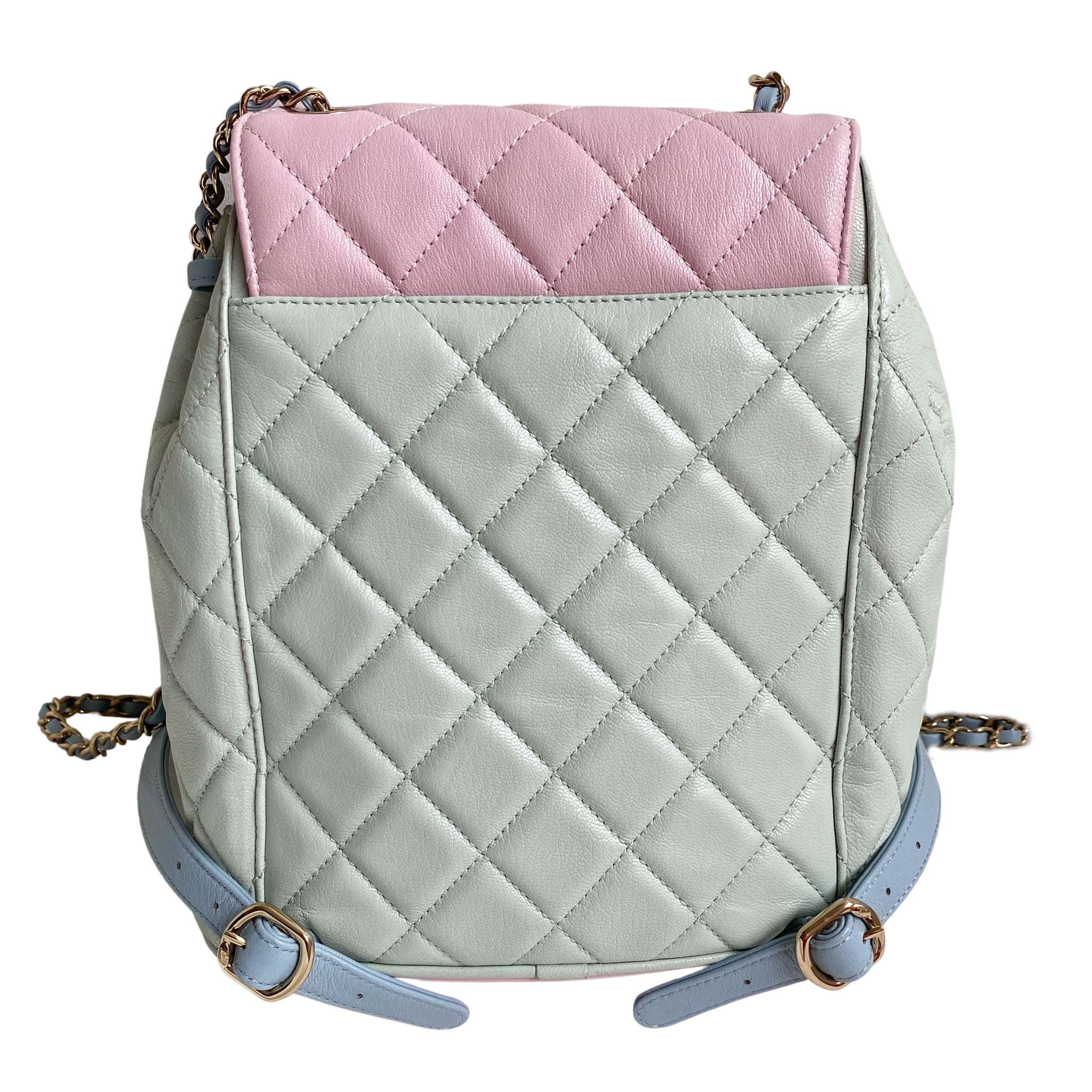 CHANEL 20C Pastel Color Block Goatskin Duma Backpack | Dearluxe