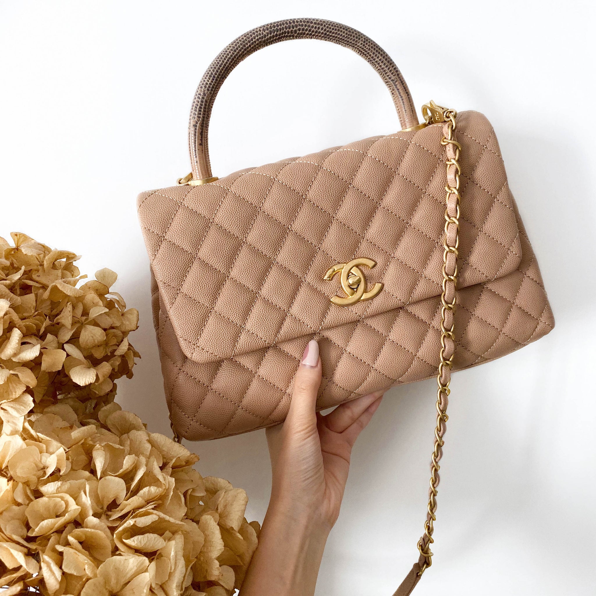 Chanel Small Coco Handle Bag With Lizard Handle In Beige Caviar Dearluxe