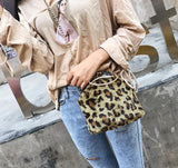 Bran Plush Leopard-printed Clicp Shoulder Messenger Bag Woman Luxury Handbags Chain Crossbdoy Bag Lady Evening Clutch Purse