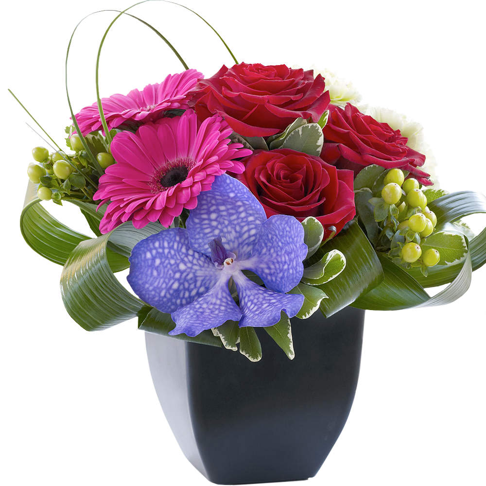 Rose, Gerbera and Vanda Orchid Arrangement – bouquet