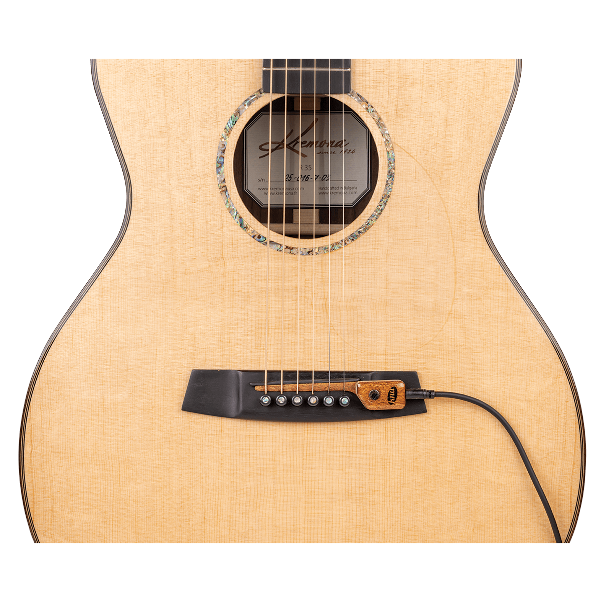 acoustic guitar pickup with volume control