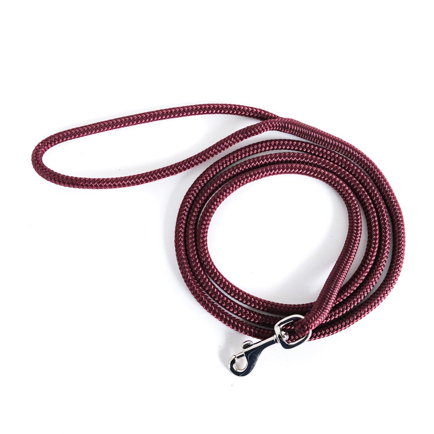 long thin dog leash