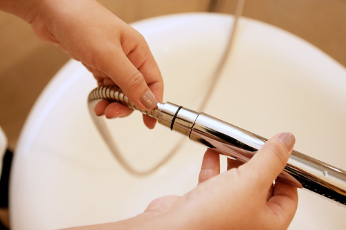 How to install Takagi Shower Head