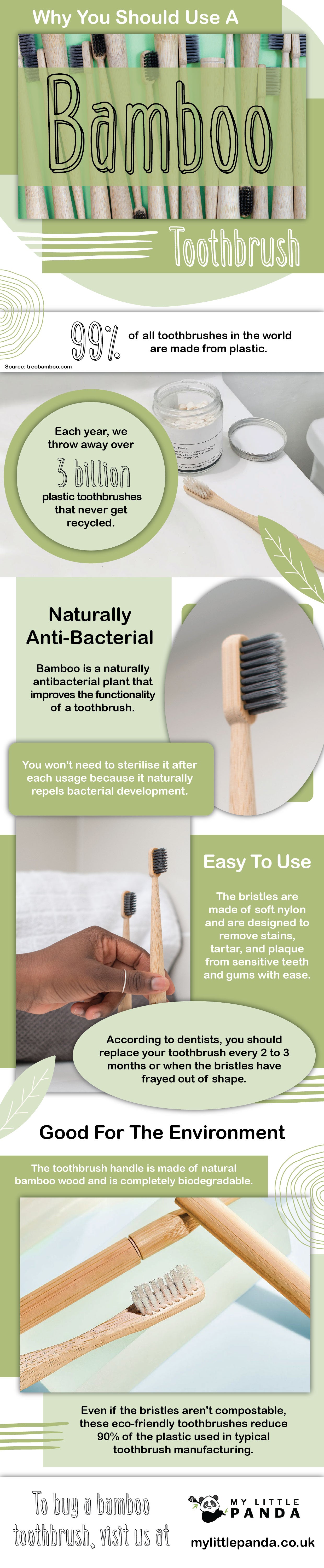 Why You Should Use a Bamboo Toothbrush - Infograph