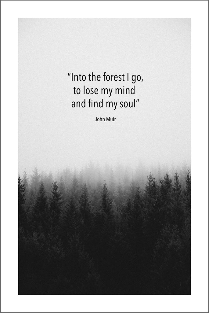 John Muir Quote: Into The Forest I Go Art Print – Pimlico Prints Worldwide