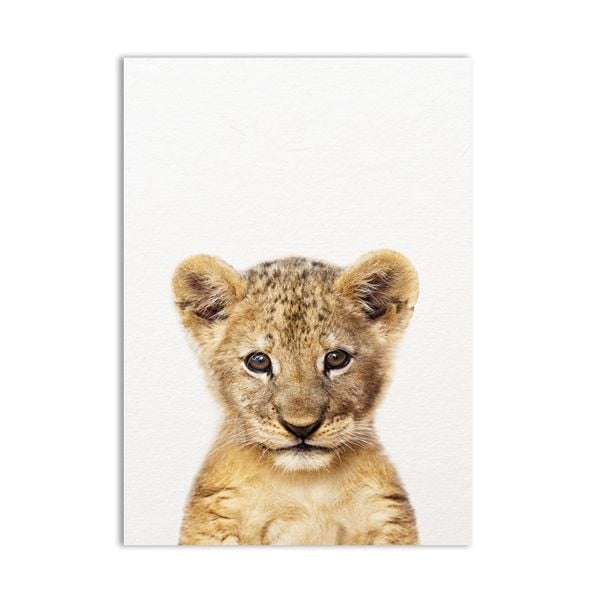 Art Animal De Bebe Lion Mignon Elephant Impressions De Toile De Gi Pimlico Prints Worldwide