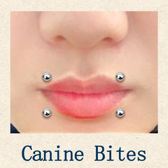 canine bites piercing