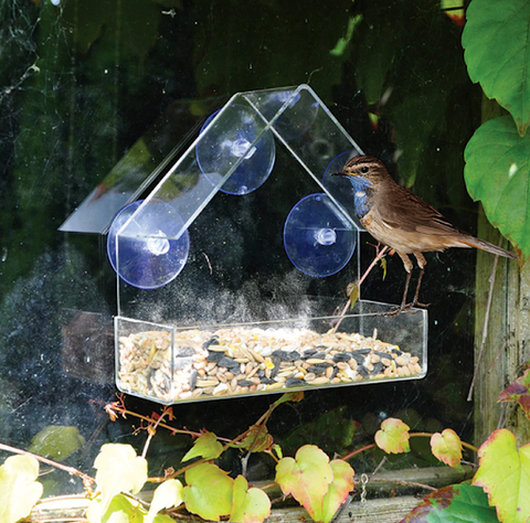 Window Bird Feeder - Squirrel Proof Clear Acrylic Bird Feeder