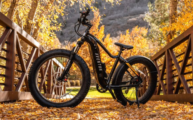 Aventon Aventure in a forest