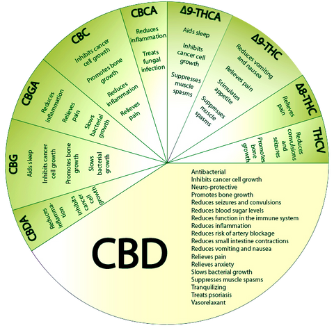 CBD-, CBDA- und CBGA-Wirkungen