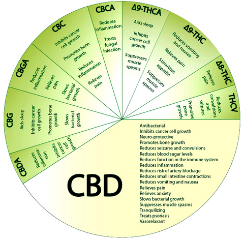 Effets du CBD, CBDA et CBGA