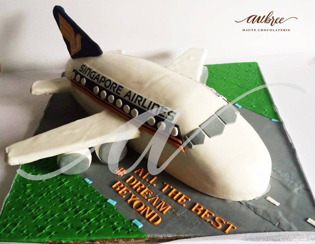 Aeroplane 3D Cake