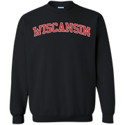 Wiscansin Sweatshirt Sweater