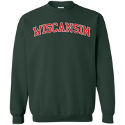 Wiscansin Sweatshirt Sweater