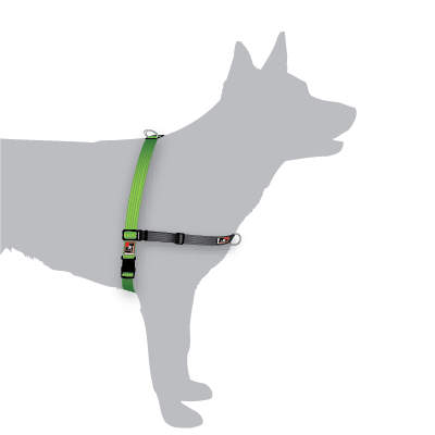 rspca dog harness
