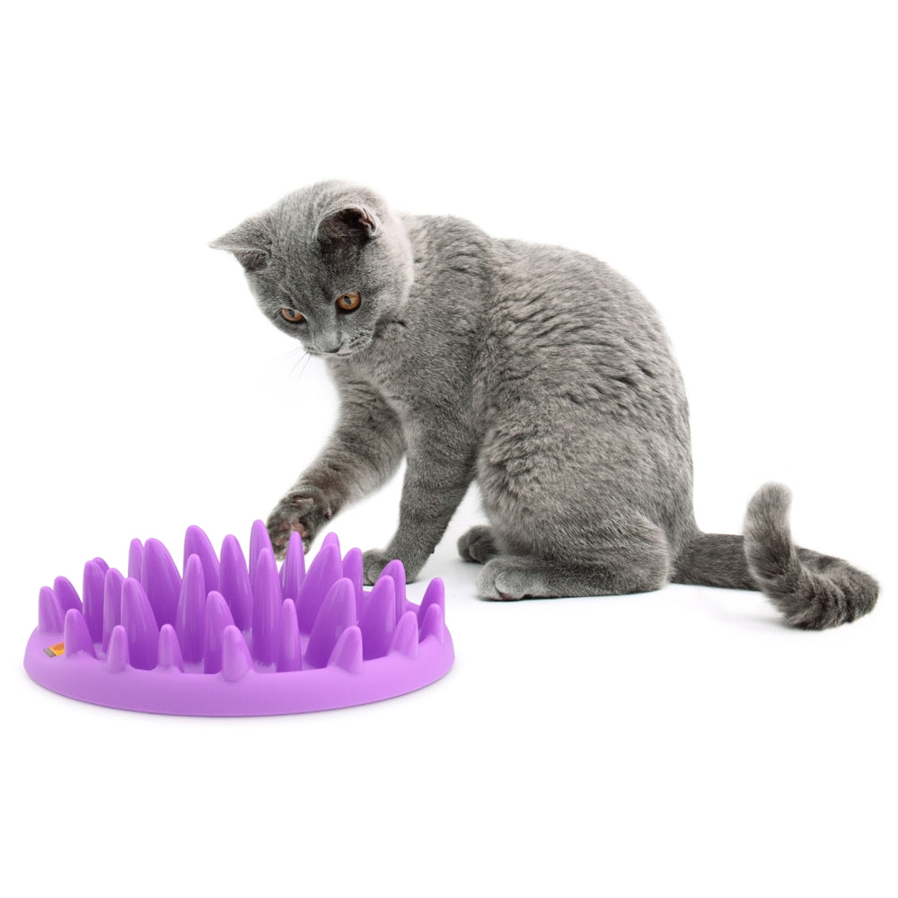 cat slow feeder