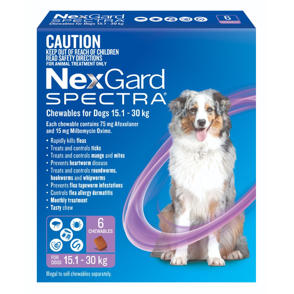 Nexgard clearance flea chews