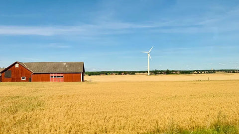 Barn in a field with windmill in background