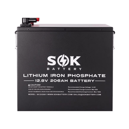 SOEC 12V 100Ah LiFePO4 Battery with Bluetooth,Heating,Active  equalization,Built-in Smart 100A BMS