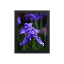 Load image into Gallery viewer, Ideally Iris Framed Print