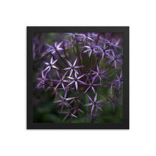 Load image into Gallery viewer, Purple Posey Framed Print