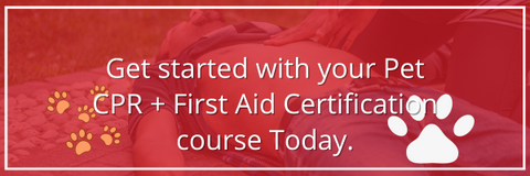 Pet CPR + First Aid Certification