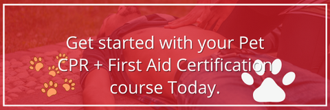PET CPR + FIRST AID CERTIFICATION