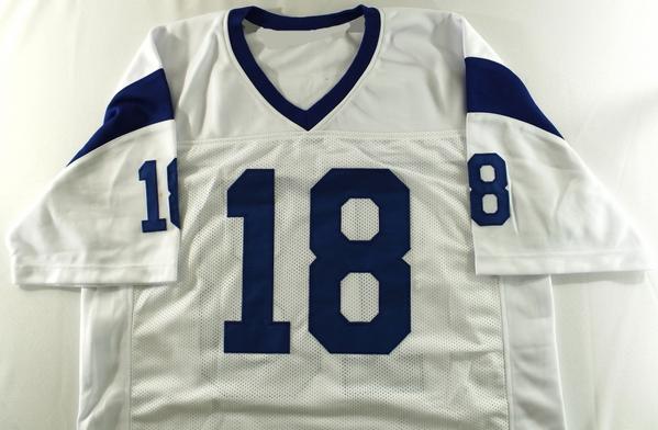 roman gabriel eagles jersey