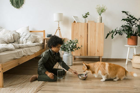 A kid feeding his cat in a bedroom full of plants.