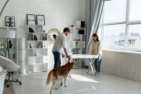 A couple moving furniture next to their dog