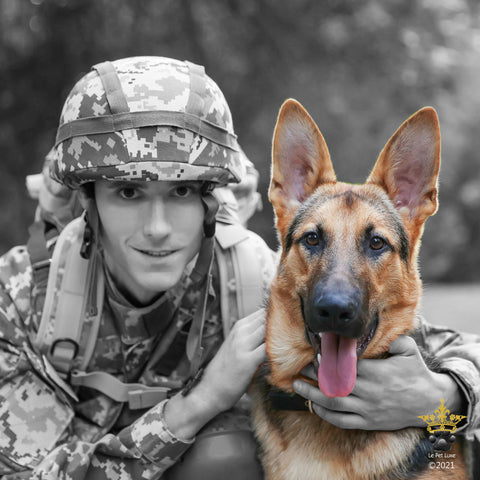 K9 Veterans Day