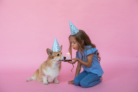 girl and puppy celebrating birthday with pink background