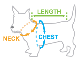 Dog Size Chart