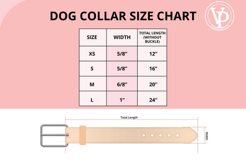 Dog collar size chart