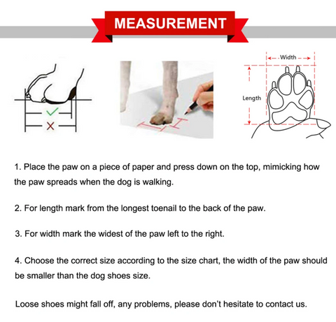 Qumy Pet Measurement