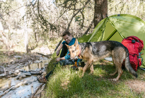 Le Pet Luxe Camping with Dogs