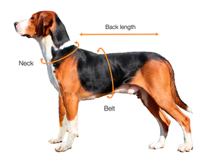Size chart for dogs PAIKKA apparel