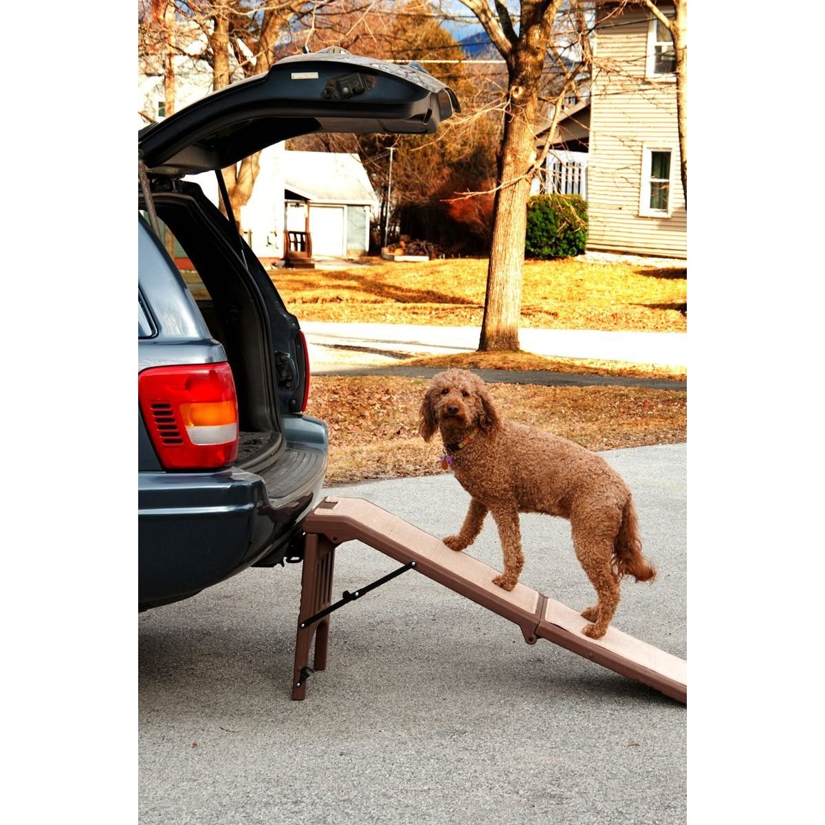 Free-Standing Pet Ramp | Le Pet Luxe