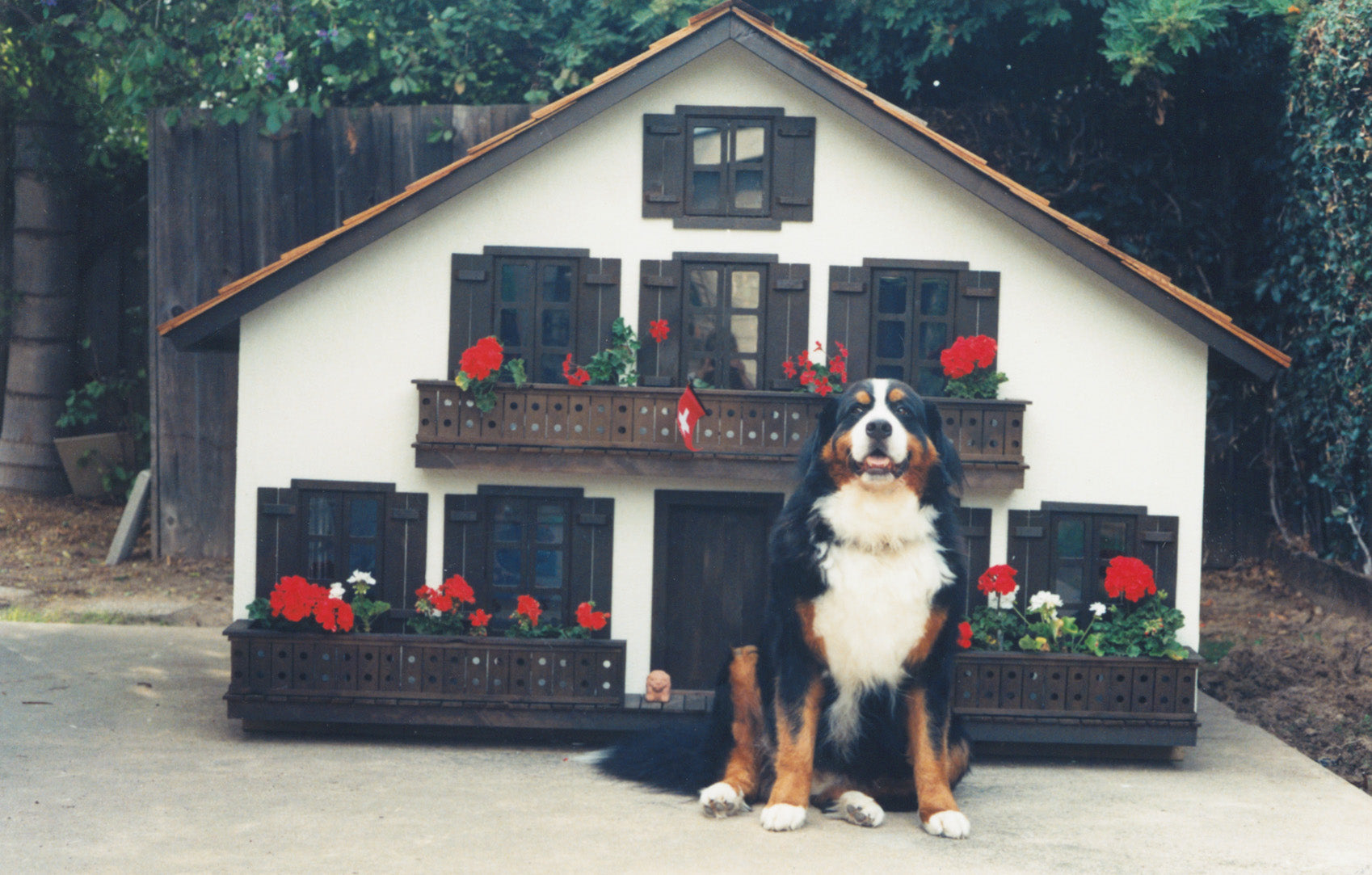 Custom Swiss Chalet Dog House– Le Pet Luxe